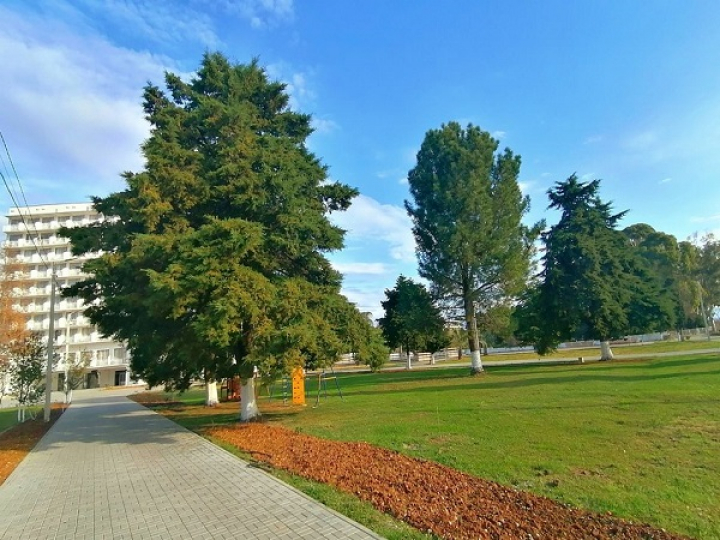 Гостиница "Апсны" - Гудаута — изображение 4