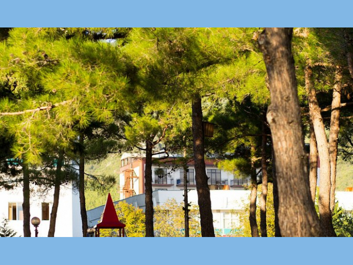 Пансионат "Приветливый берег" - Геленджик — изображение 7